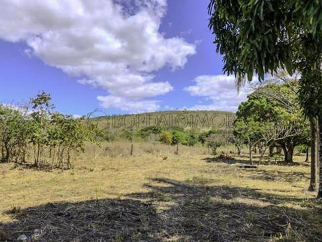 Sítio e chácara venda em Região Geográfica Imediata de Posse-Campos Belos, Alvorada do Norte