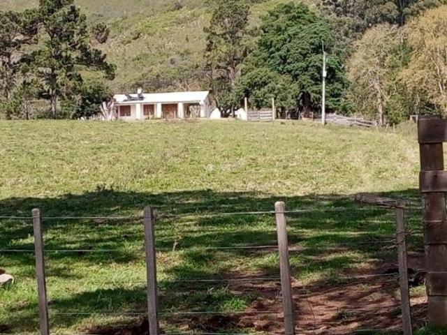 Sítio e chácara venda em Região Geográfica Imediata de Pelotas, Herval