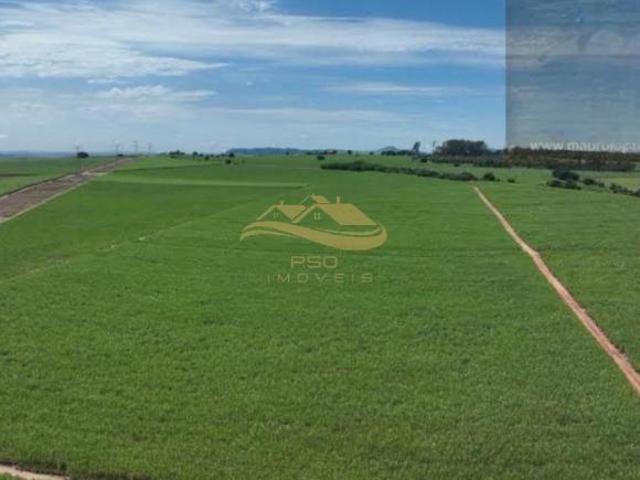 Sítio e chácara venda em Região Imediata de Piracicaba, Região Metropolitana de Piracicaba