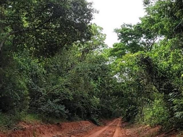 Sítio e chácara venda em Região Imediata de Assis, Assis