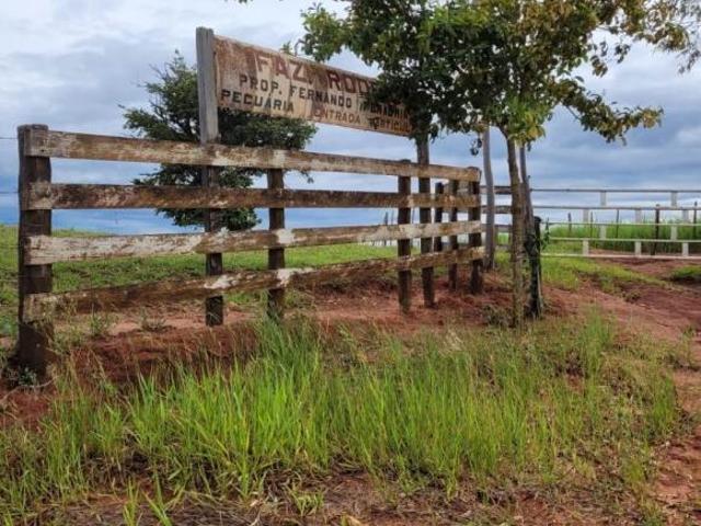 Sítio e chácara venda em Região Imediata de Assis, Assis