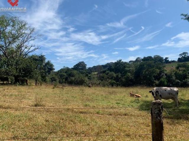 Sítio e chácara venda em Região Geográfica Imediata de Goiânia, Bonfinópolis