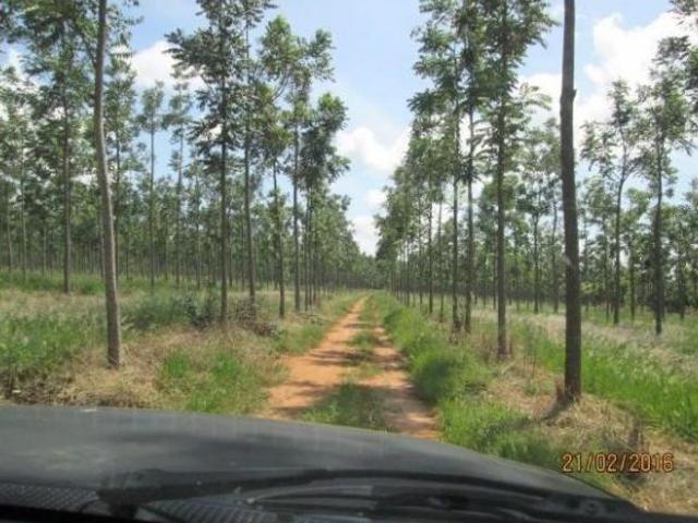 Sítio e chácara venda em Região Geográfica Imediata de Pirapora, Buritizeiro