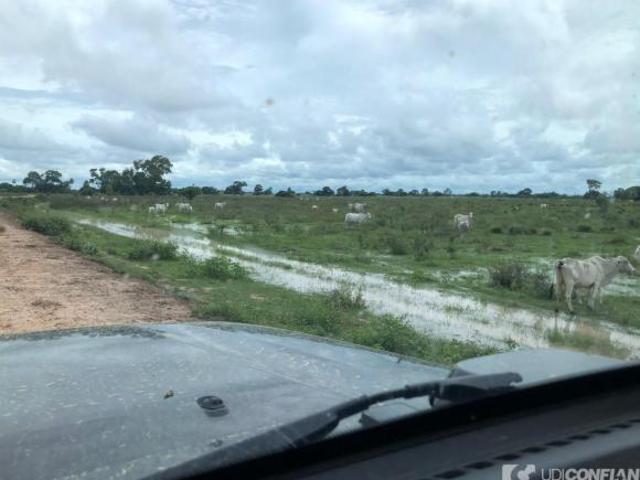 Sítio e chácara venda em Região Geográfica Imediata de Cáceres, Antônio João