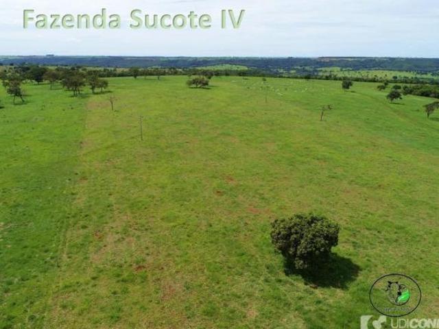 Sítio e chácara venda em Região Geográfica Imediata de Uberlândia, Campina Verde