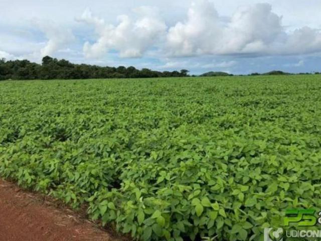 Sítio e chácara venda em Região Geográfica Imediata de Confresa - Vila Rica, Confresa