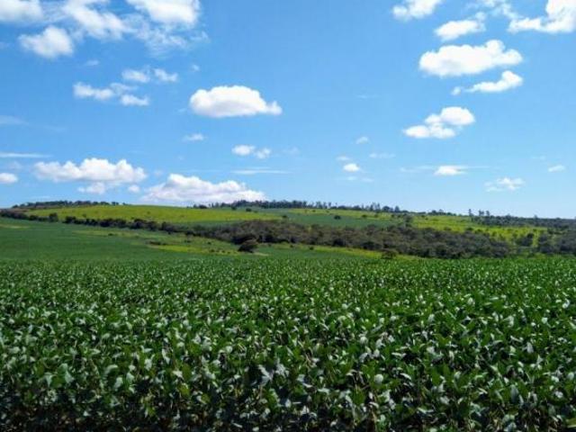 Sítio e chácara venda em Região Geográfica Imediata de Águas Lindas de Goiás, Região Integrada de Desenvolvimento do Distrito Federal e Entorno