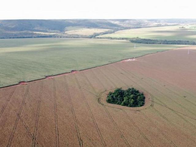 Sítio e chácara venda em Região Geográfica Imediata de Águas Lindas de Goiás, Região Integrada de Desenvolvimento do Distrito Federal e Entorno