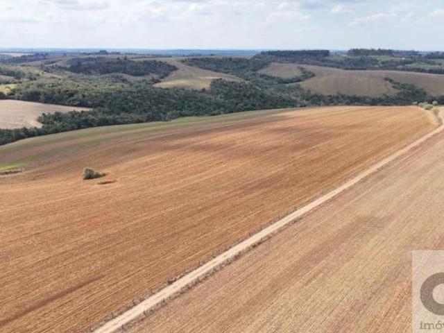 Sítio e chácara venda em Centro, Itapetininga
