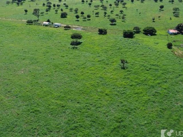 Sítio e chácara venda em Região Geográfica Imediata de Patos de Minas, João Pinheiro