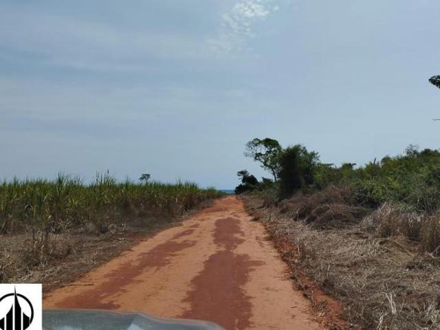 Sítio e chácara venda em Região Imediata de Dracena, Panorama