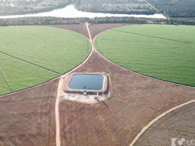 Sítio e chácara venda em Região Geográfica Imediata de Patos de Minas, Paracatu