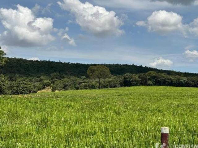 Sítio e chácara venda em Região Geográfica Imediata de Quirinópolis, Paranaiguara
