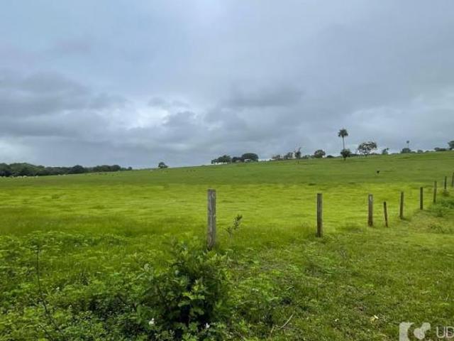 Sítio e chácara venda em Região Geográfica Imediata de Uberlândia, Prata