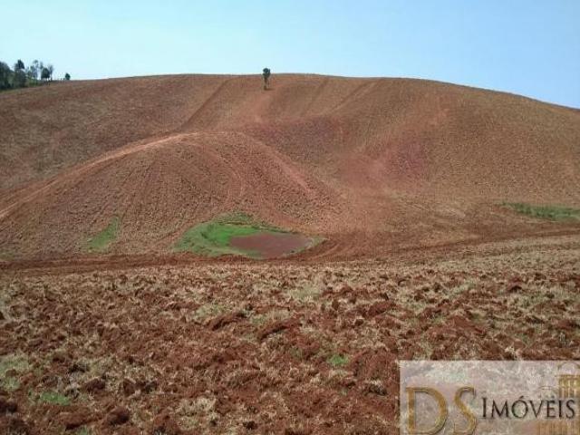 Sítio e chácara venda em Região Imediata de Itapeva, Ribeirão Branco