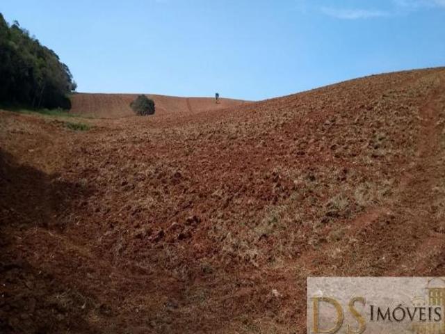 Sítio e chácara venda em Região Imediata de Itapeva, Ribeirão Branco