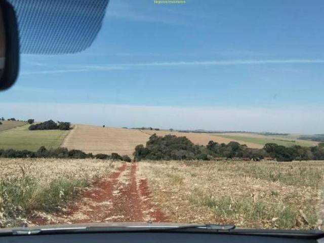 Sítio e chácara venda em Região Geográfica Imediata de Londrina, Rolândia