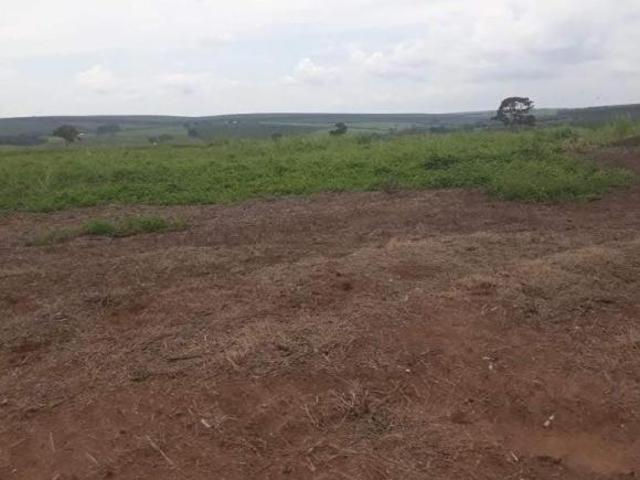 Sítio e chácara venda em Região Imediata de São Carlos, São Carlos