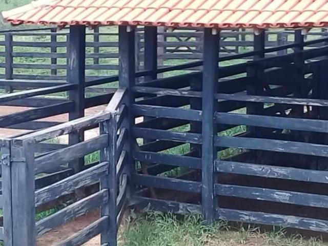 Sítio e chácara venda em Região Geográfica Imediata de Montes Claros, São João do Pacuí