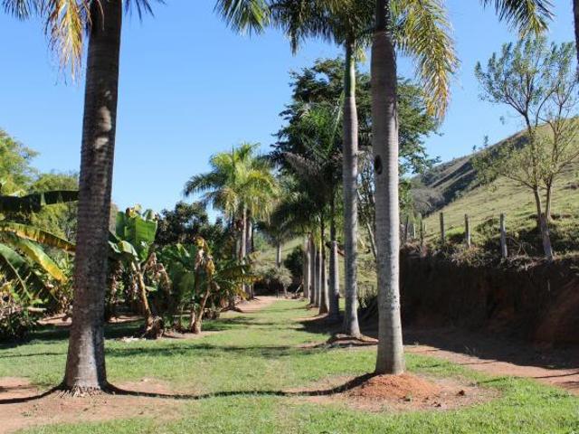 Sítio e chácara venda em Região Imediata de Cruzeiro, Região Metropolitana do Vale do Paraíba e Litoral Norte