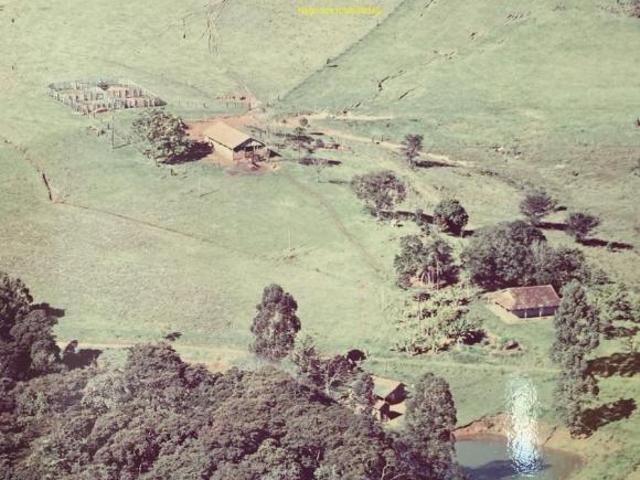 Sitio venda em Tamarana, Jardim Juny
