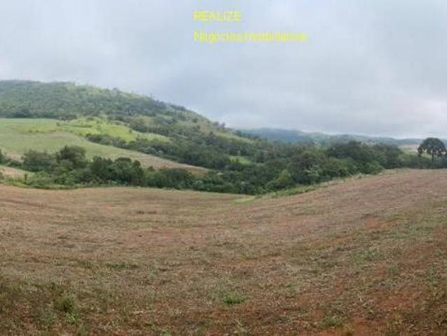 Sítio e chácara venda em Região Geográfica Imediata de Londrina, Tamarana