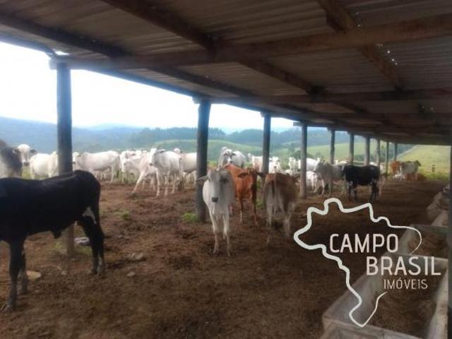 Sítio e chácara venda em Região Imediata de Taubaté-Pindamonhangaba, Região Metropolitana do Vale do Paraíba e Litoral Norte