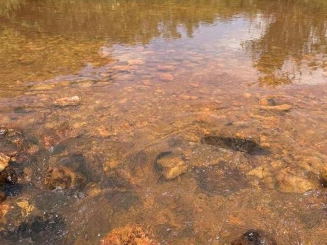 Sítio e chácara venda em Região Geográfica Imediata de Montes Claros, Montes Claros