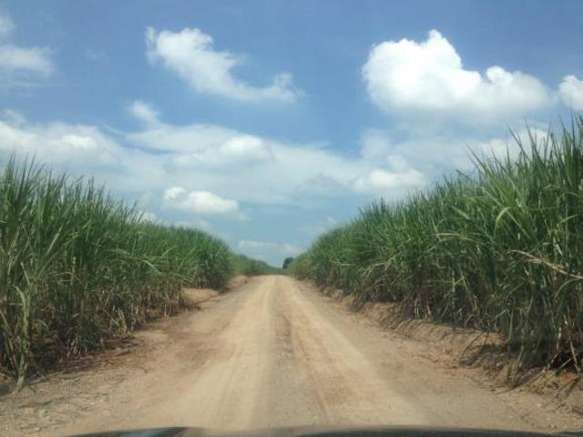 Sítio e chácara venda em Região Imediata de Piracicaba, Região Metropolitana de Piracicaba