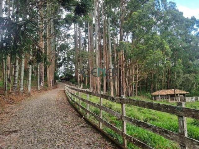 Sítio e chácara venda em Região Geográfica Imediata de Juiz de Fora, Juiz de Fora