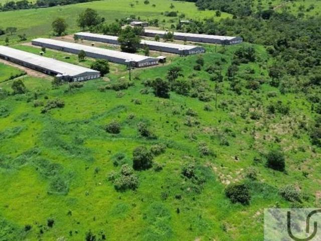Sítio e chácara venda em Região Geográfica Imediata de Águas Lindas de Goiás, Região Integrada de Desenvolvimento do Distrito Federal e Entorno