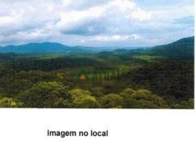 Sítio e chácara venda em Região Geográfica Imediata de Paranaguá, Região Sul
