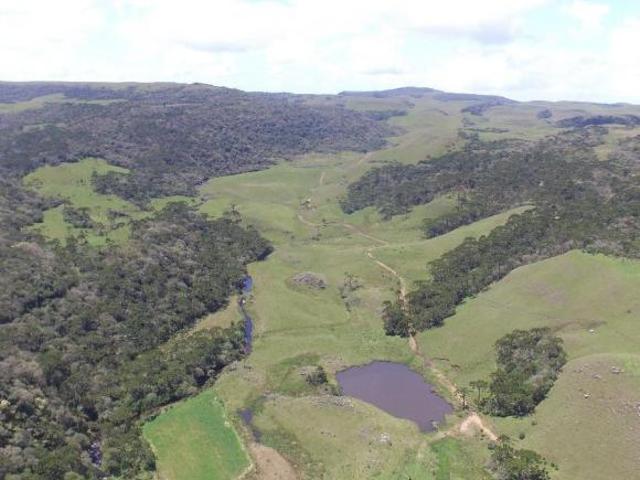 Sítio e chácara venda em Região Geográfica Imediata de Vacaria, São José dos Ausentes