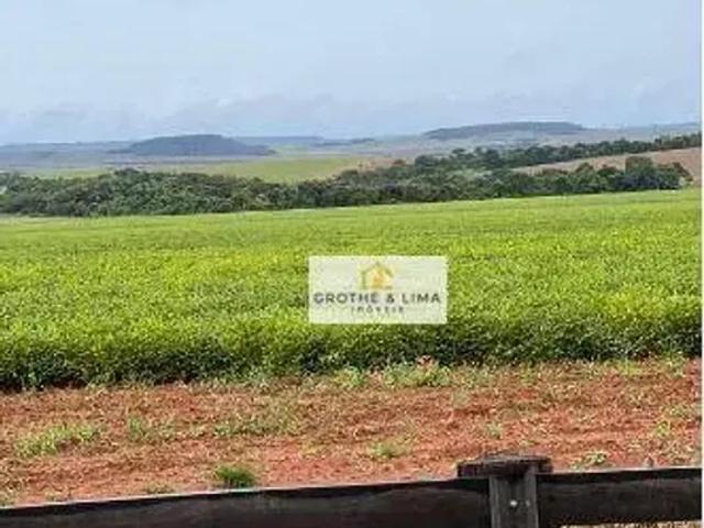 Fazenda venda em Região Geográfica Imediata de Água Boa, Canarana