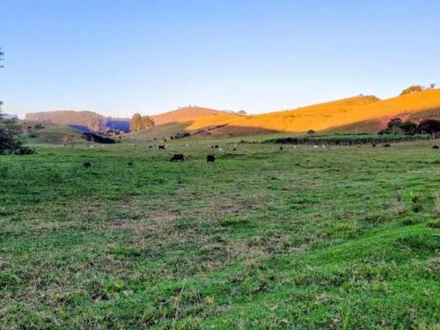 Sítio e chácara venda em Região Imediata de Cruzeiro, Região Metropolitana do Vale do Paraíba e Litoral Norte