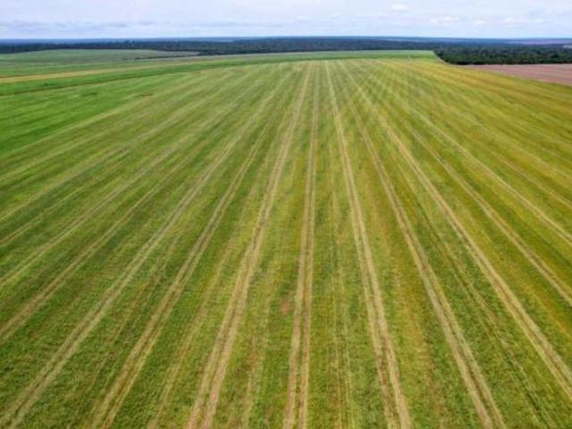 Sítio e chácara venda em Região Geográfica Imediata de Água Boa, Gaúcha do Norte