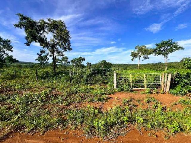 Sítio e chácara venda em Arinos