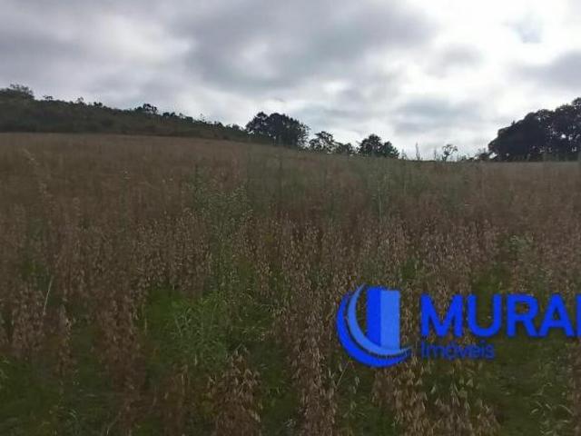 Sítio e chácara venda em Região Geográfica Imediata de Caxias do Sul, São Francisco de Paula