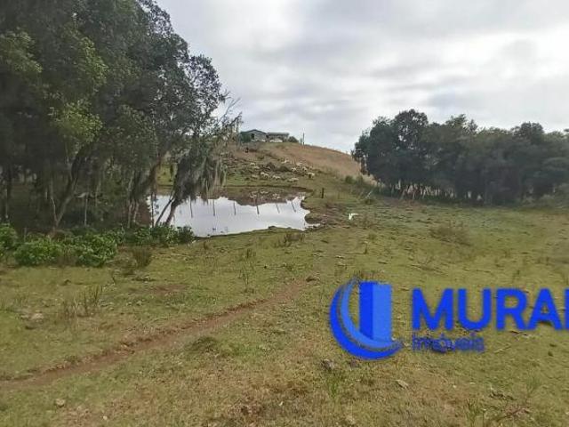 Sítio e chácara venda em Região Geográfica Imediata de Caxias do Sul, São Francisco de Paula