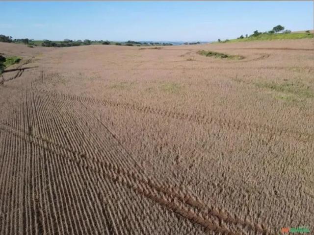 Fazenda venda em Região Geográfica Imediata de Cornélio Procópio-Bandeirantes, São Jerônimo da Serra