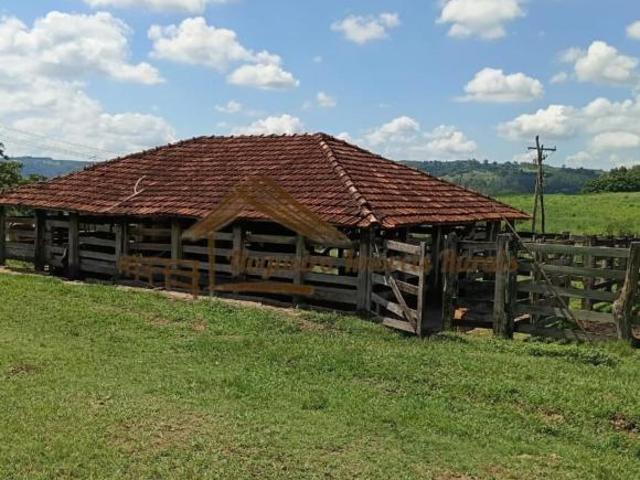 Sítio e chácara venda em Região Imediata de Marília, Região Sudeste