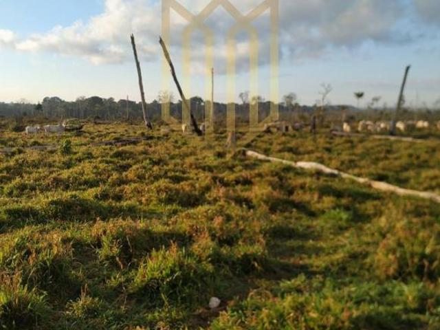 Sítio e chácara venda em Região Geográfica Imediata de Juara, Juara