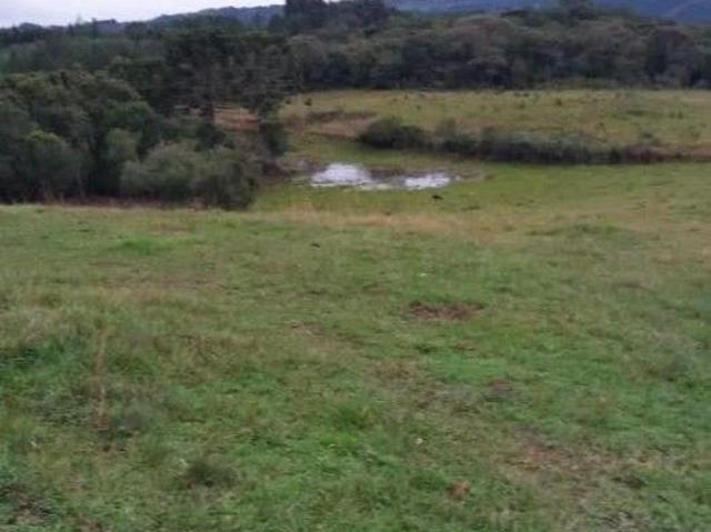 Sítio e chácara venda em Chapada, Jaquirana