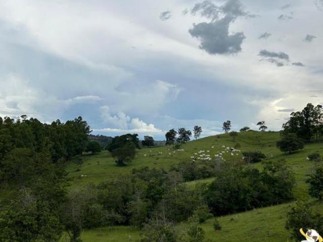 Sítio e chácara venda em Região Geográfica Imediata de Monte Carmelo, Estrela do Sul