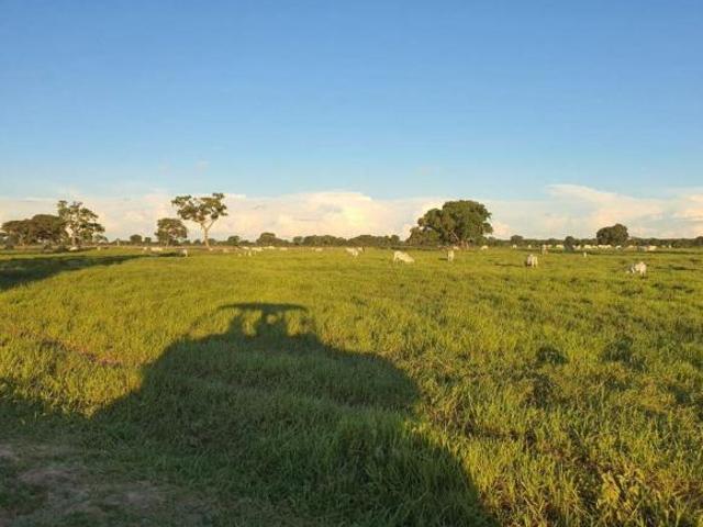 Sítio e chácara venda em Região Geográfica Imediata de Campo Grande, Rio Negro