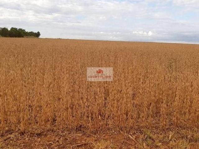 Sítio e chácara venda em Região Geográfica Imediata de Água Boa, Água Boa