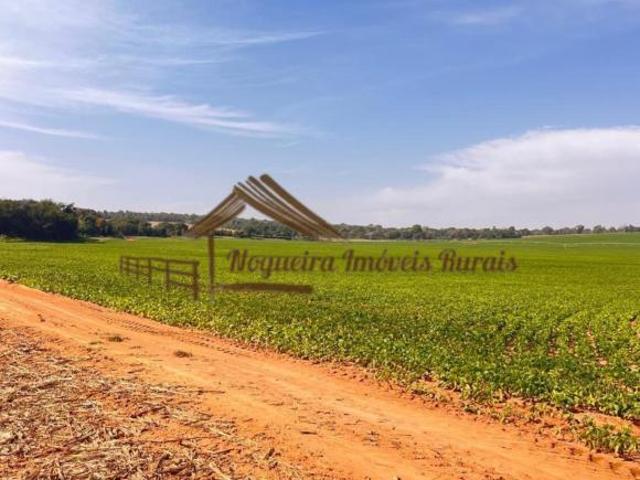Sítio e chácara venda em Avaré, Região Geográfica Intermediária de Sorocaba