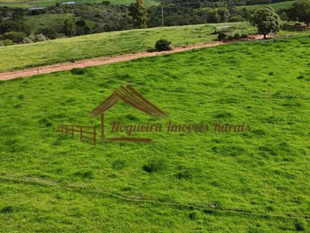 Sítio e chácara venda em Taguaí, Região Geográfica Intermediária de Sorocaba