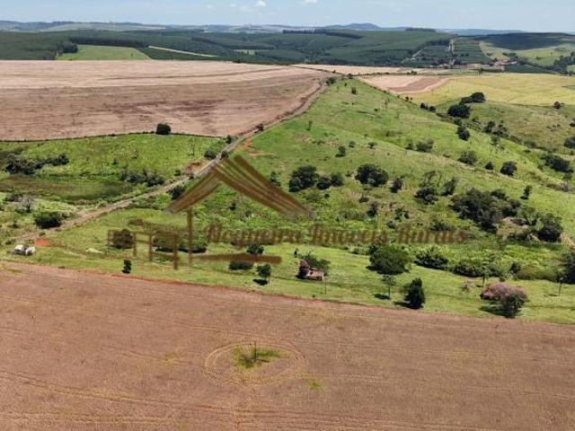 Sítio e chácara venda em Região Imediata de Piraju, Piraju
