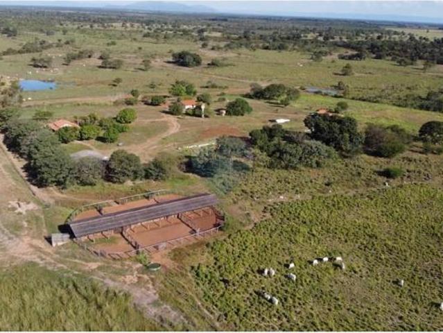 Ponto Comercial venda em Região Geográfica Imediata de Flores de Goiás, Flores de Goiás